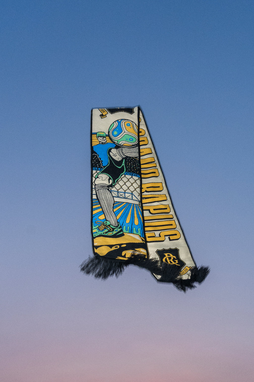 "Summer of Soccer" Scarf